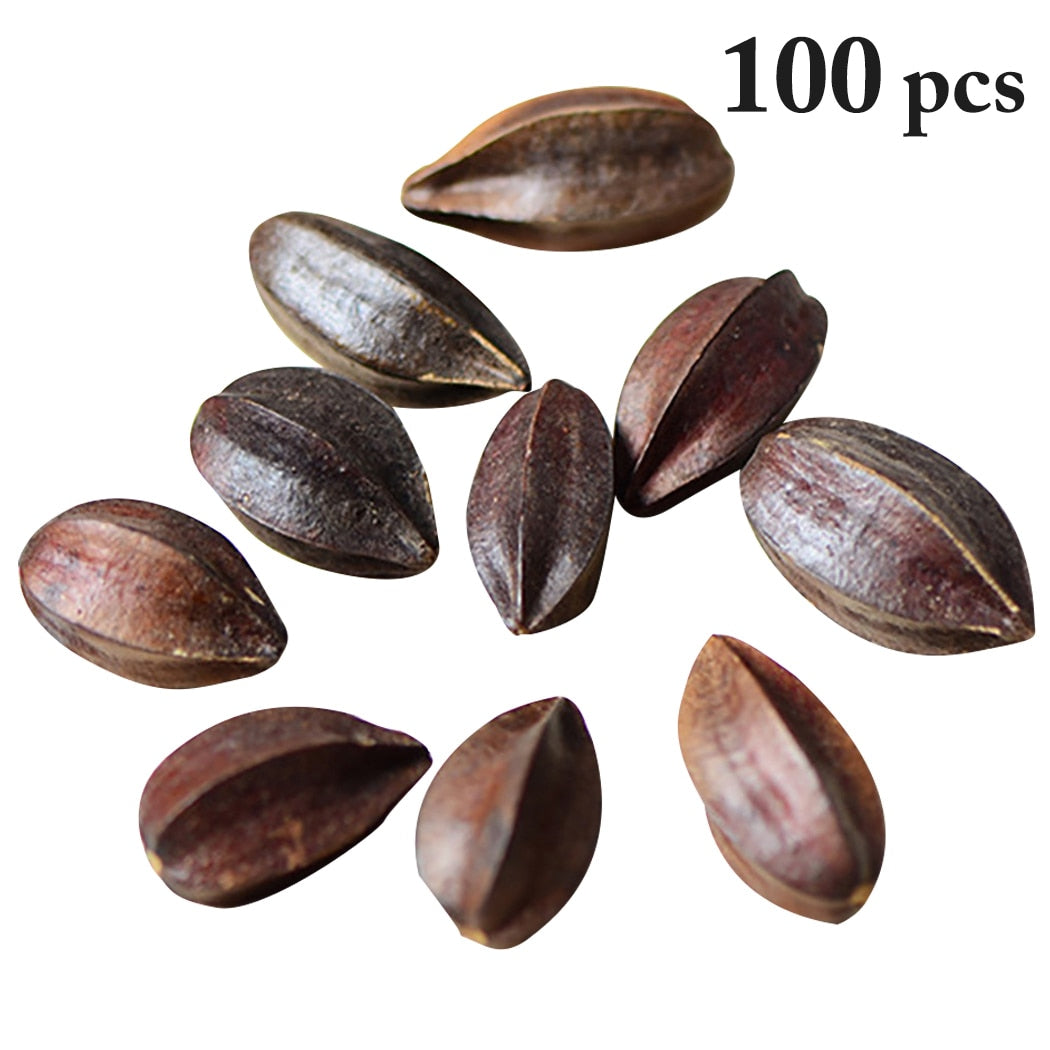 100PCS Multi-Purpose DIY Plants Prop Lifelike Natural Dried Flower Plant Fruits Photography Props Home Decoration For Christmas-ebowsos