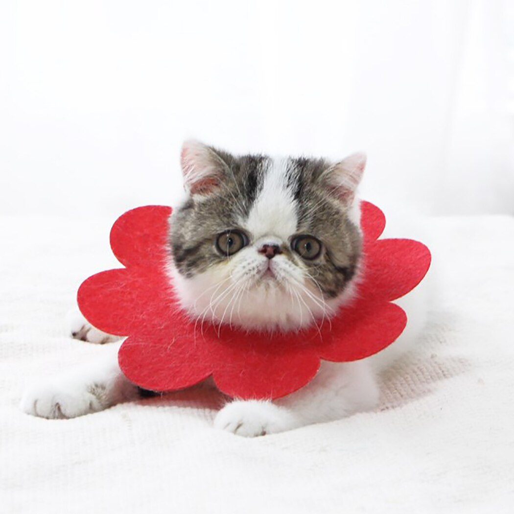 1Pc Cute Flower Shape Pet Cat Recovery Collar Pet Cat Dog Sun Flower Felt Saliva Towel Cats Dog Collar Pet Clothing Accessories-ebowsos