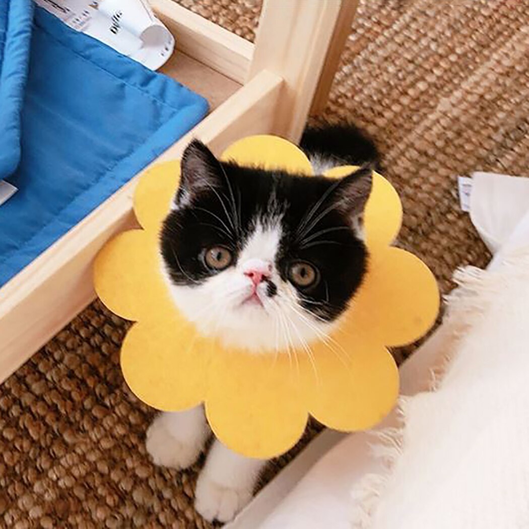 1Pc Cute Flower Shape Pet Cat Recovery Collar Pet Cat Dog Sun Flower Felt Saliva Towel Cats Dog Collar Pet Clothing Accessories-ebowsos