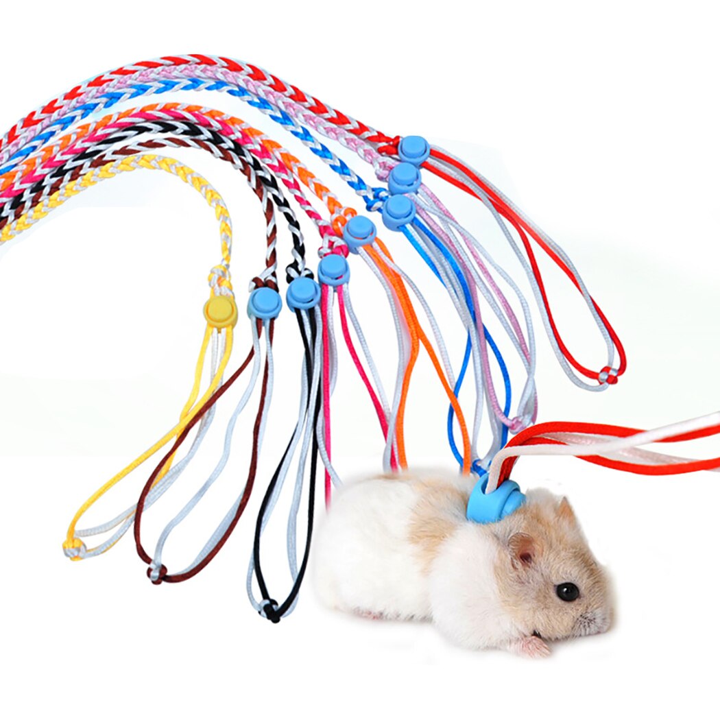 2 Meters Small Animal Leash Adjustable Hamster Leash For Rats Ferret Mouse Squirrel Small Pet Carry-On Supplies Random Color-ebowsos