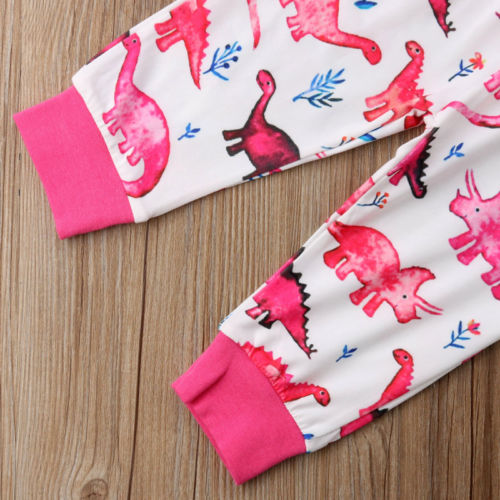 Newborn Toddler Baby Girl Cartoon Dinosaur Long Sleeve Shirt Tops Pants Legging 2Pcs Set Outfit Clothes - ebowsos