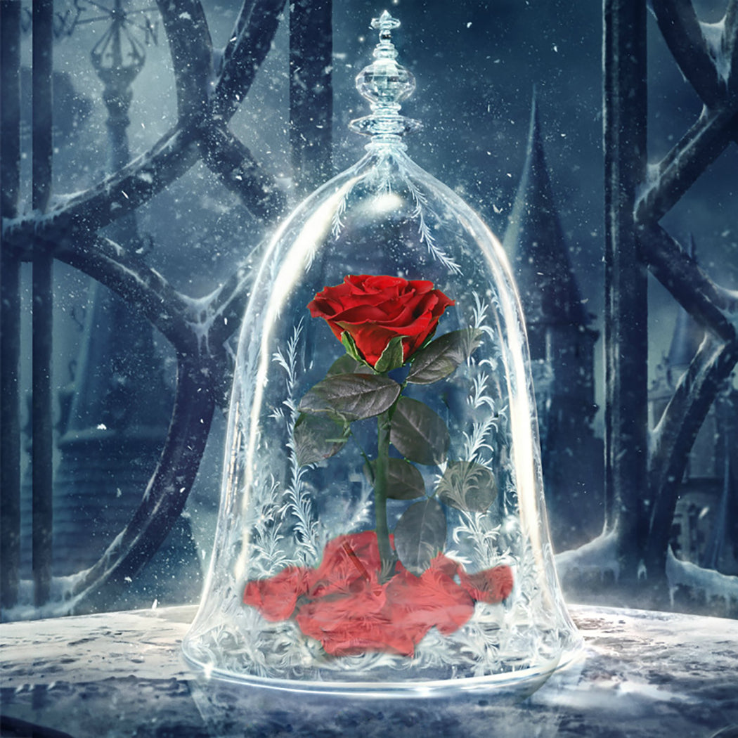 2019 New Romance Beautiful Eternal Life Flower Finished Glass Cover Beauty And Beast Rose Christmas Mother's Day Gift-ebowsos