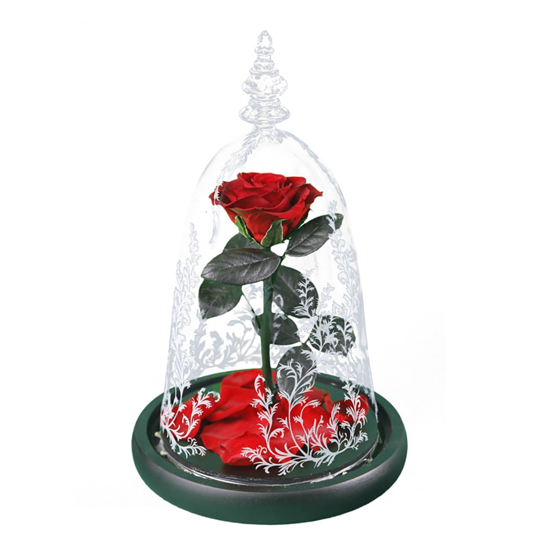 2019 New Romance Beautiful Eternal Life Flower Finished Glass Cover Beauty And Beast Rose Christmas Mother's Day Gift-ebowsos