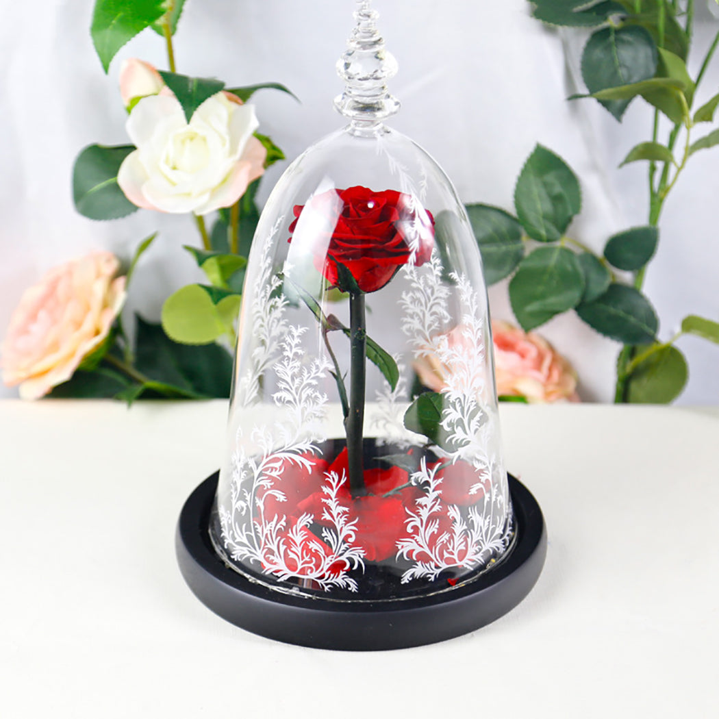 2019 New Romance Beautiful Eternal Life Flower Finished Glass Cover Beauty And Beast Rose Christmas Mother's Day Gift-ebowsos