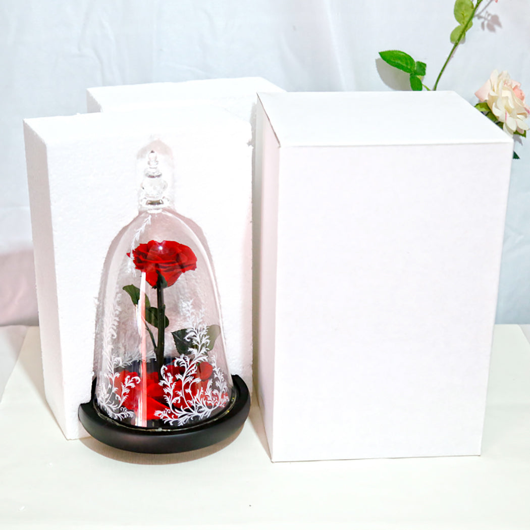 2019 New Romance Beautiful Eternal Life Flower Finished Glass Cover Beauty And Beast Rose Christmas Mother's Day Gift-ebowsos