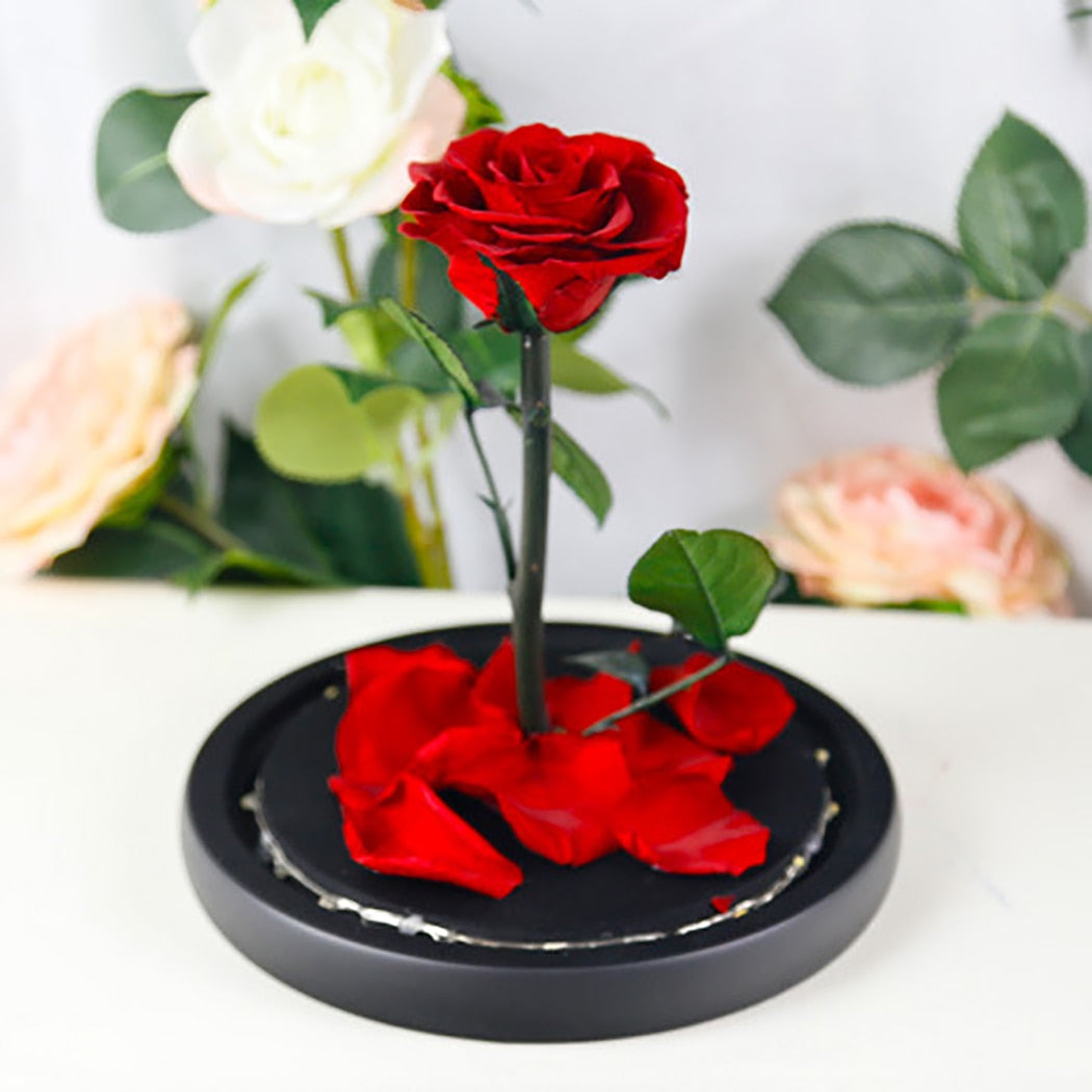 2019 New Romance Beautiful Eternal Life Flower Finished Glass Cover Beauty And Beast Rose Christmas Mother's Day Gift-ebowsos