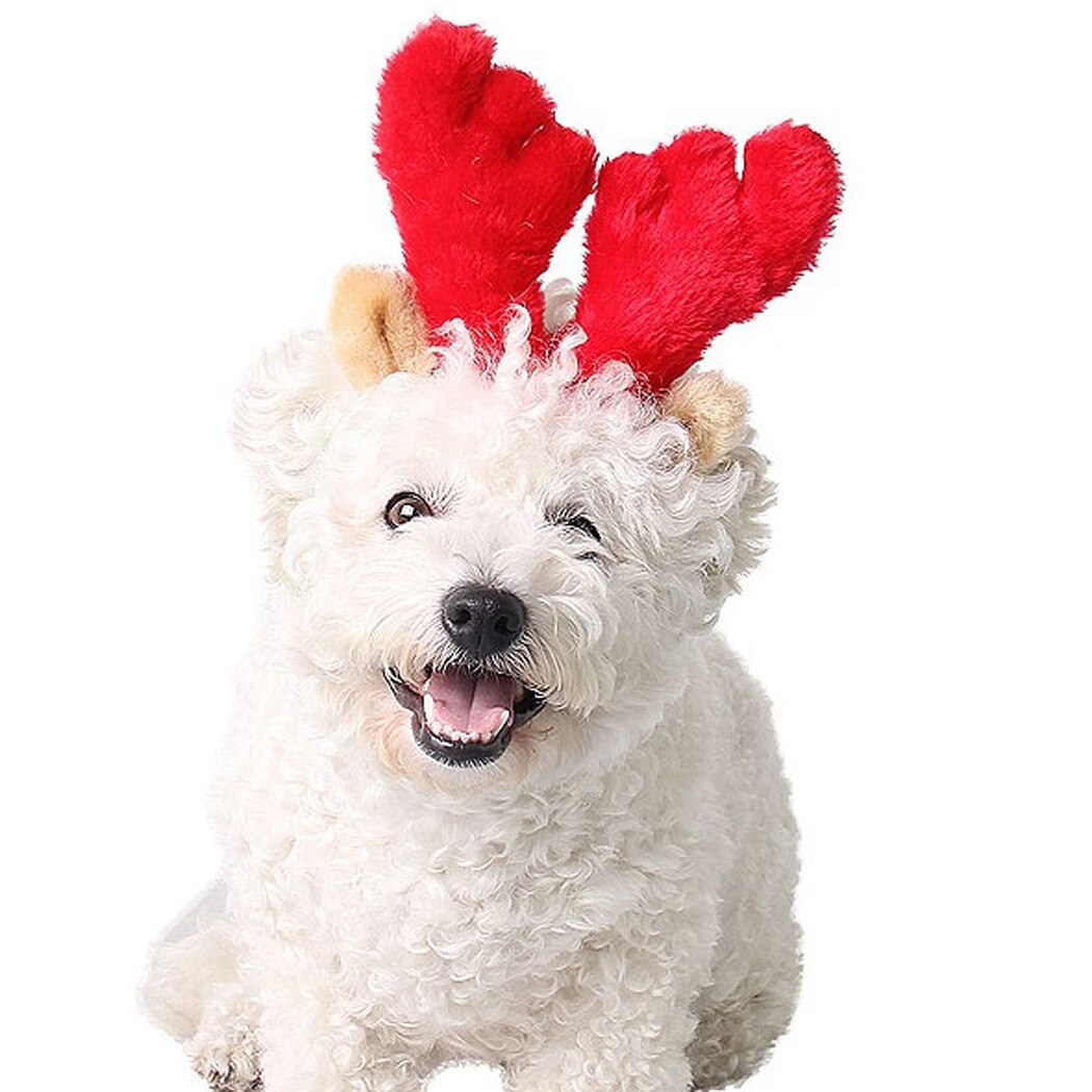 2020 New Year Christmas Pet Headband Deer Horn Hat Costume Dog Puppy Cat Cosplay Party Product Headwear Caps Hat For Dog Cats-ebowsos