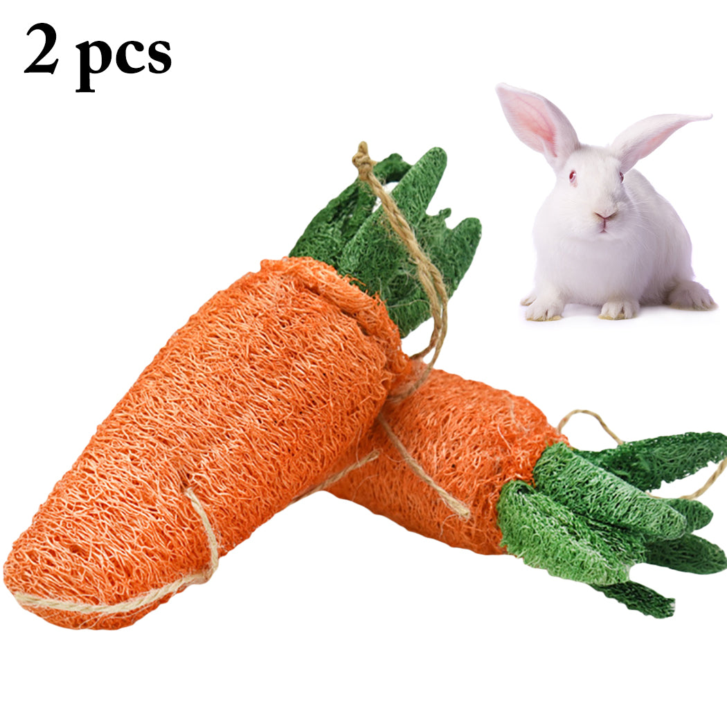 2PCS Cute Rabbit Hamster Carrot Shape Molar Toy Bite Resistant Carrot Shape Pet Play Toy For Rabbits Pet Interactive Supplies-ebowsos