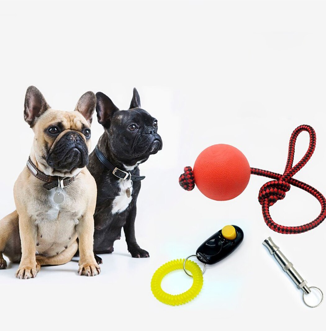 3PCS Dog Toy Pet Training Supplies Set Creative Pet Clicker Dog Whistle Pet Chew Toy Interaction Supplies Pet Sensitive Training-ebowsos