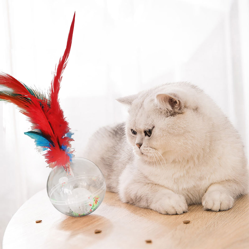 3pcs Creative Cat Toys Light Up Tumbler Fake Feather Cat Training Toy Pet Sound Toys Pet Supplies-ebowsos