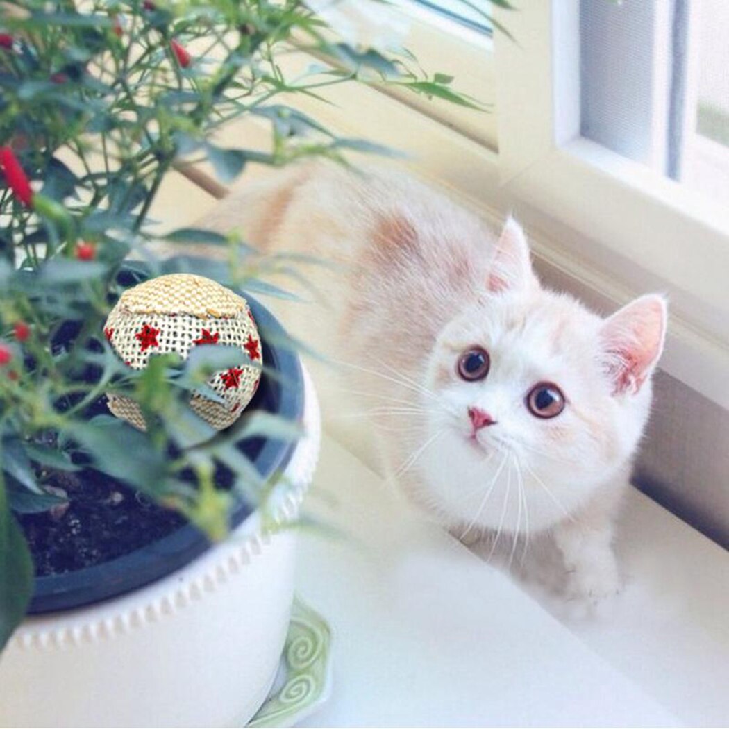 4Pcs/Set Canvas Ball Cat Ball Toy Creative Interactive Funny Canvas Cat Toy Kitten Toy Set Pet Supplies-ebowsos