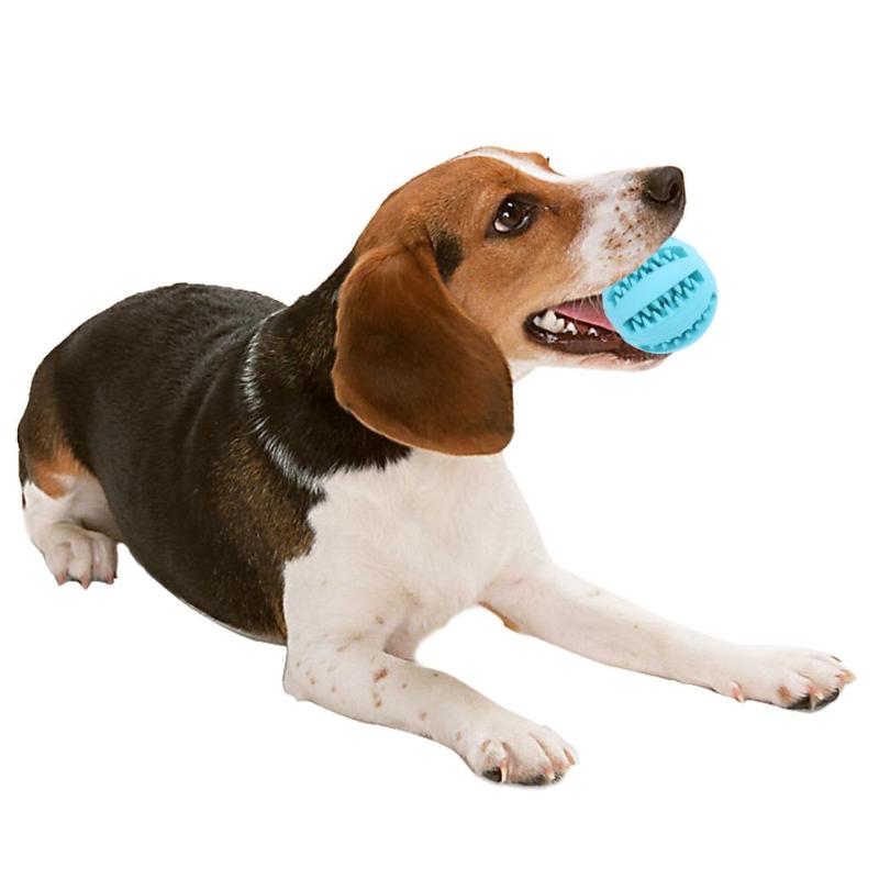 5/7 cm Dog Toy Interactive Rubber Balls Pet Dog Cat Puppy ElasticityTeeth Ball Dog Chew Toys Tooth Cleaning Balls Toys For Dogs - ebowsos