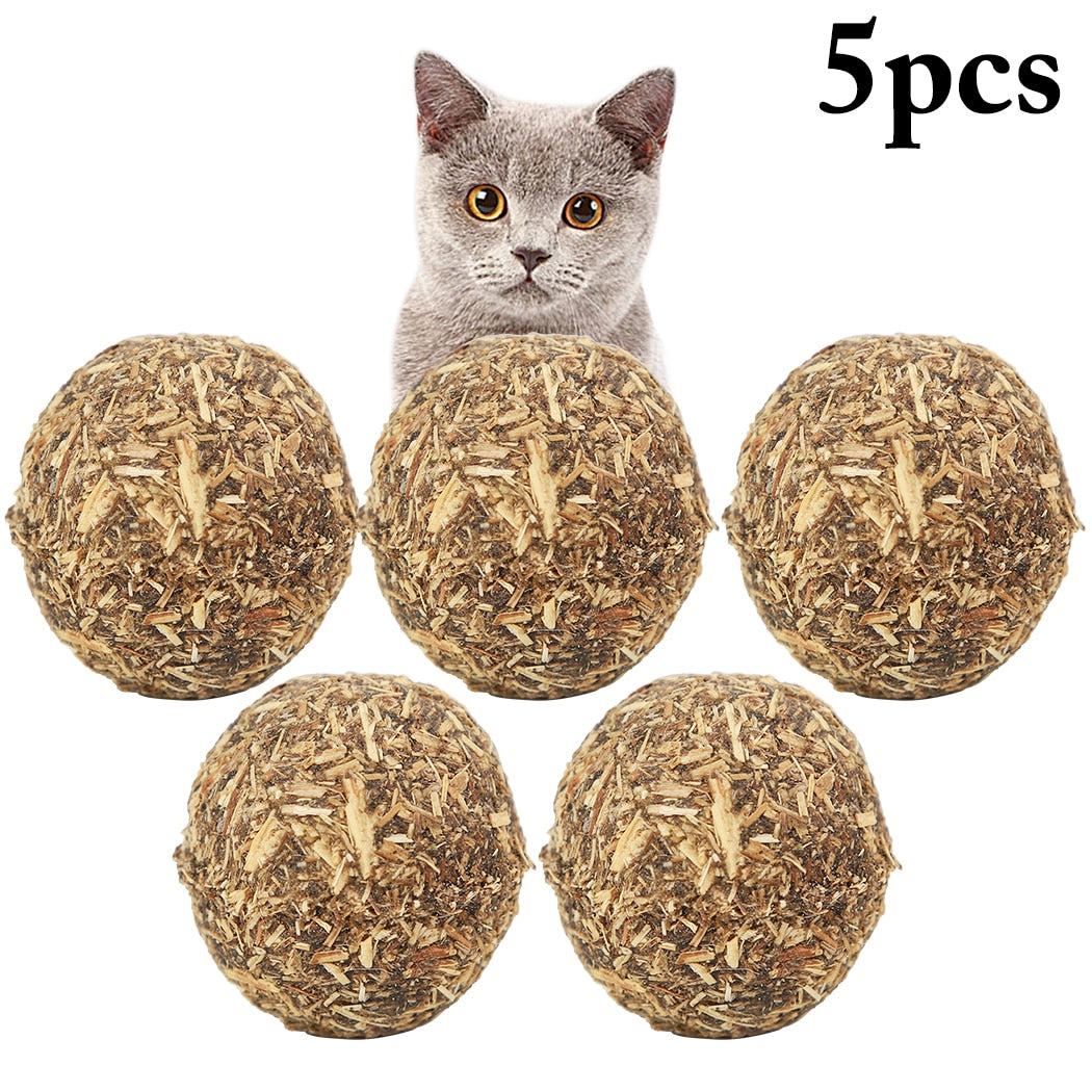 5PCS Cat Catnip Natural Compressed Catnip Ball Cat Treats Cat Toy For Cat Kitten 2019 New Arrive-ebowsos