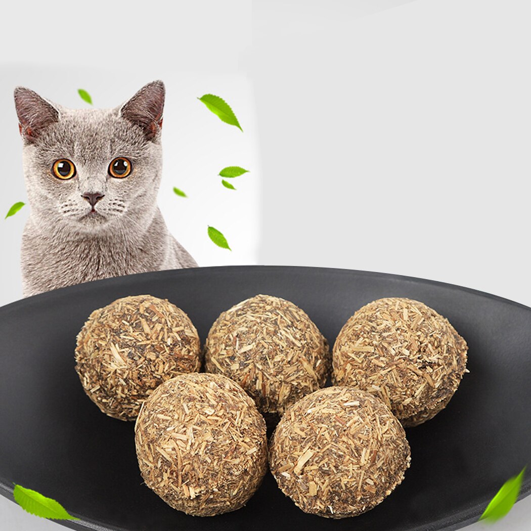 5PCS Cat Catnip Natural Compressed Catnip Ball Cat Treats Cat Toy For Cat Kitten 2019 New Arrive-ebowsos