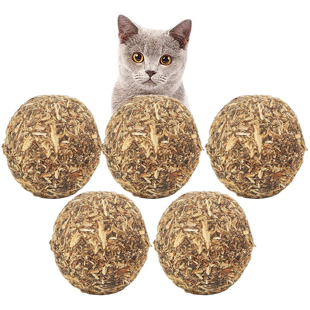 5PCS Cat Catnip Natural Compressed Catnip Ball Cat Treats Cat Toy For Cat Kitten 2019 New Arrive-ebowsos