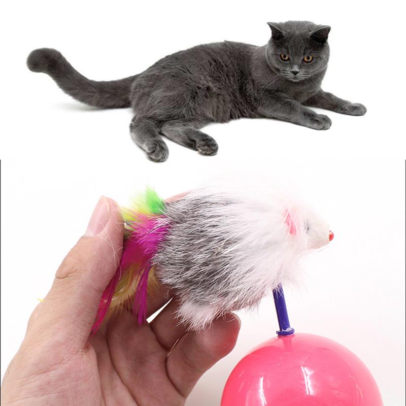 5pcs Funny Tumbler Mouse Toys For Cats Kitties Pets Accessories Cat Toy Training Kitten For Pet Cats Toys Supplies-ebowsos