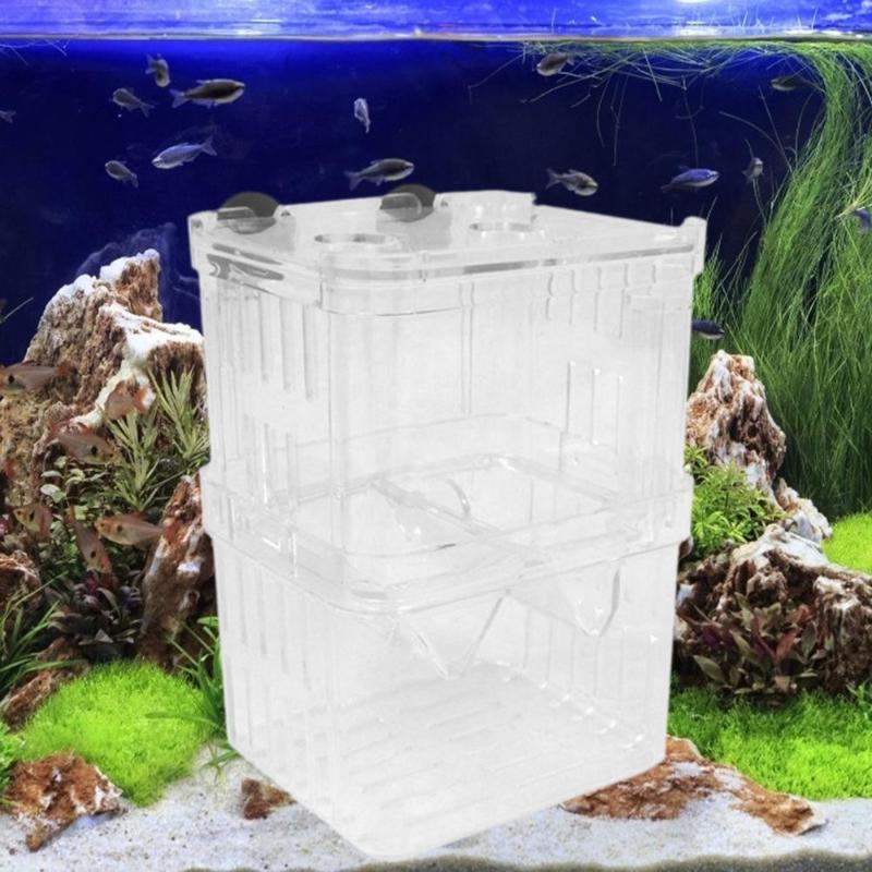 Acrylic Fish Breeder Isolation Box Multifunctional Daily Durability Double-layer Combination Hatching Aquarium Accessories - ebowsos