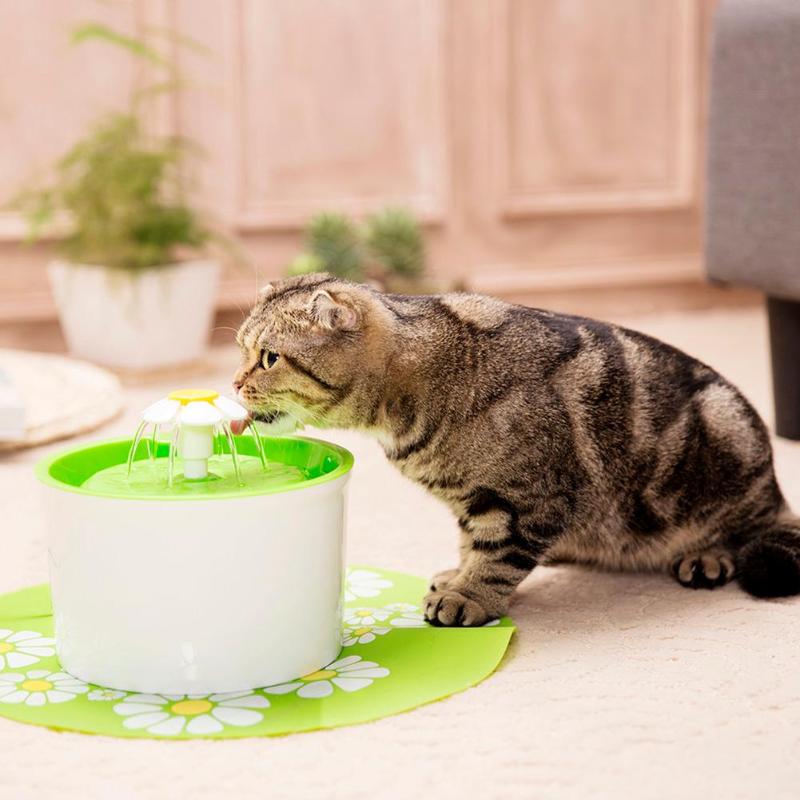 Automatic Cat Water Fountain 1.6L Electric Water Fountain Dog Cat Pet Drinker Bowl Pet Drinking Automatic Feeders Pet Supplies - ebowsos