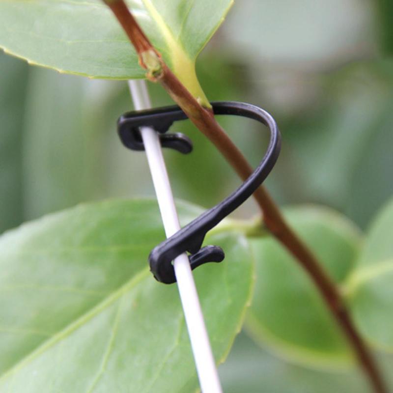 Bayonet firmly not easy to fall Excellent toughness 50pcs Grape Support Vine Clips Garden Plants Vegetables Fixed Buckle Hook - ebowsos