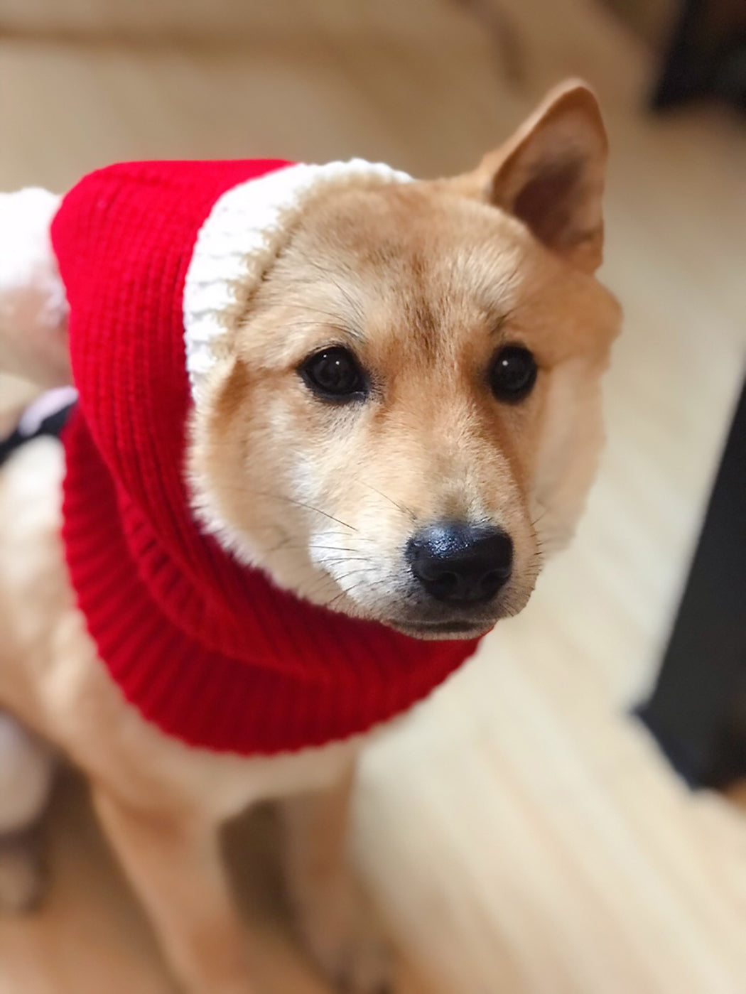 Christmas Knitted Pets Store Warm Lovely Dog Hats For Pets Cats Winter Warm Knitting Dog Cap Dog Beanie For Puppies Kittens-ebowsos