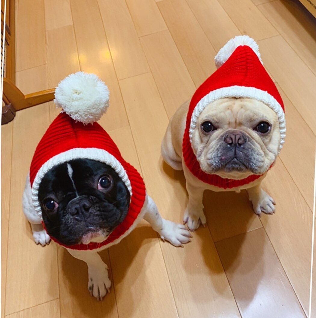 Christmas Knitted Pets Store Warm Lovely Dog Hats For Pets Cats Winter Warm Knitting Dog Cap Dog Beanie For Puppies Kittens-ebowsos