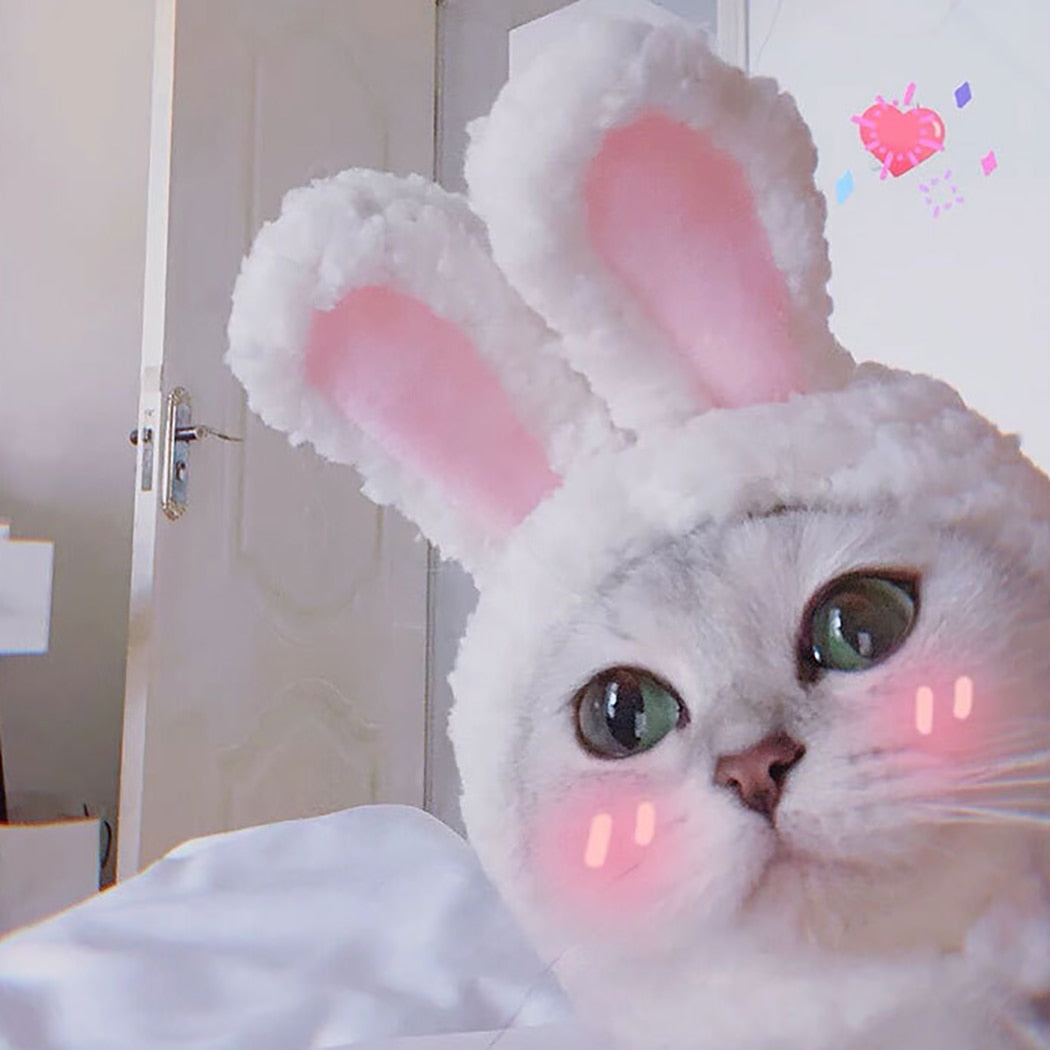 Cute Funny Pet Cat Dog Bunny Ears Dress Cap Easter Rabbit Ear Headdress Costume Cosplay Clothing Props For Home Pet-ebowsos