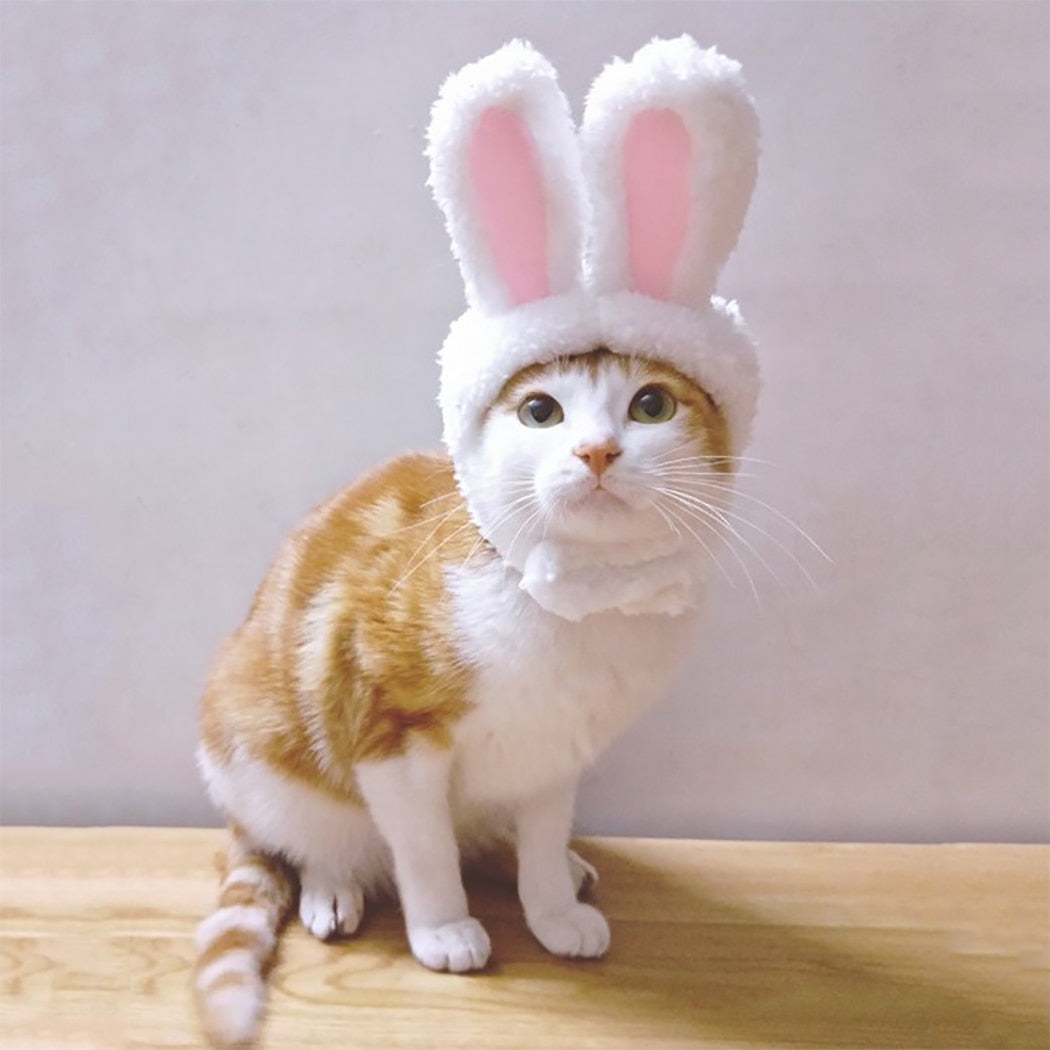 Cute Funny Pet Cat Dog Bunny Ears Dress Cap Easter Rabbit Ear Headdress Costume Cosplay Clothing Props For Home Pet-ebowsos