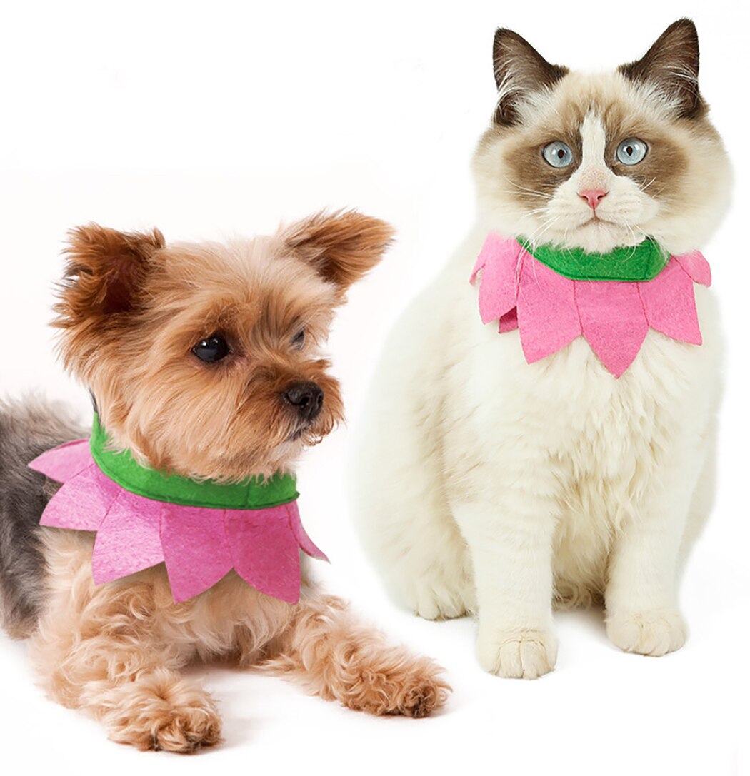 Cute Pet Costume Collar Pet Jewelry Wreath Collar Cat Puppy Dog Cute Decorative Headband Cute Neck Scarf Toy-ebowsos