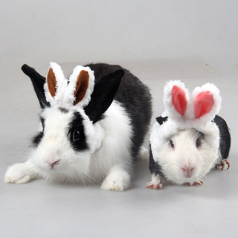 Easter Dutch Pig My Neighbor Totoro Hat Pet Rabbit Ear Warmer Creative Lovely Rabbit Ear Warm Pet Costume Hat Cat Costume Hat-ebowsos