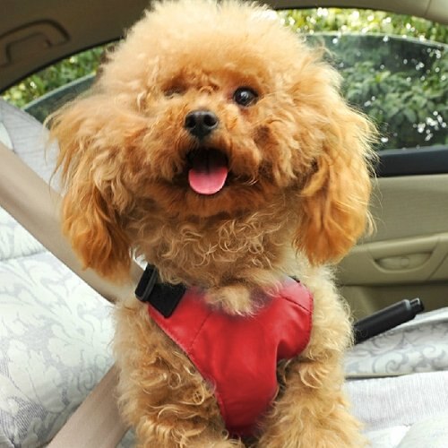 Red S Car Vehicle Auto Seat Safety Belt Seatbelt for Dog Pet - ebowsos