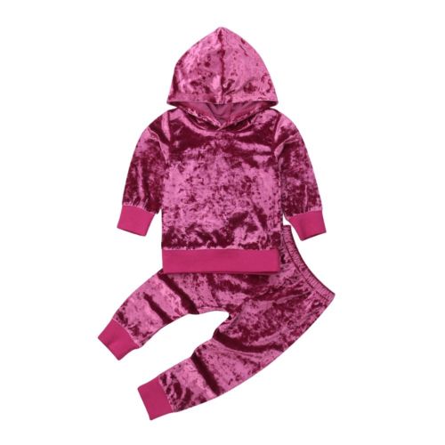 Fashion Baby Girls Velvet Clothes Autumn/Winter Violet Flannel Long Sleeve Hooded Shirt Tops+Pants Child Tracksuit Set - ebowsos