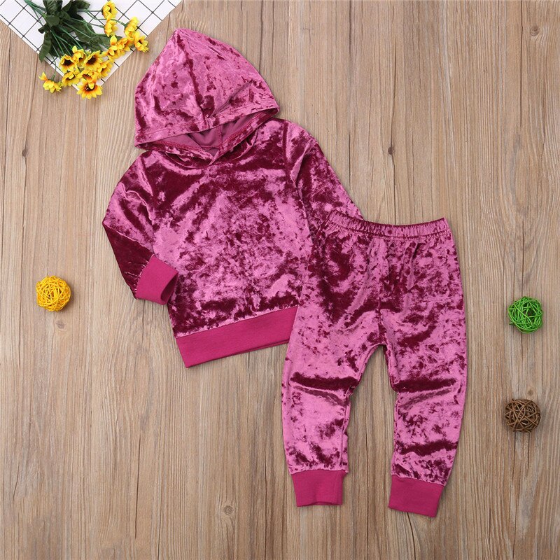 Fashion Baby Girls Velvet Clothes Autumn/Winter Violet Flannel Long Sleeve Hooded Shirt Tops+Pants Child Tracksuit Set - ebowsos