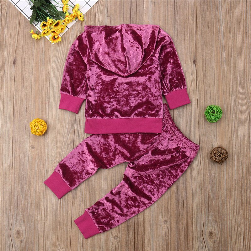 Fashion Baby Girls Velvet Clothes Autumn/Winter Violet Flannel Long Sleeve Hooded Shirt Tops+Pants Child Tracksuit Set - ebowsos