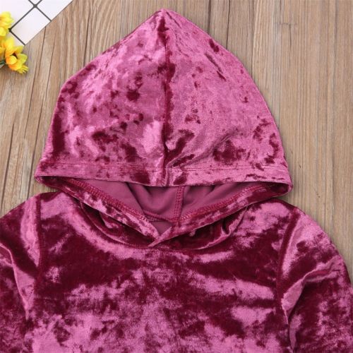 Fashion Baby Girls Velvet Clothes Autumn/Winter Violet Flannel Long Sleeve Hooded Shirt Tops+Pants Child Tracksuit Set - ebowsos