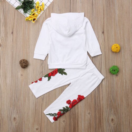 Fashion Embroidery Toddler Baby Girls Flower Hoodies Top Pants Outfits Clothes Tracksuit - ebowsos