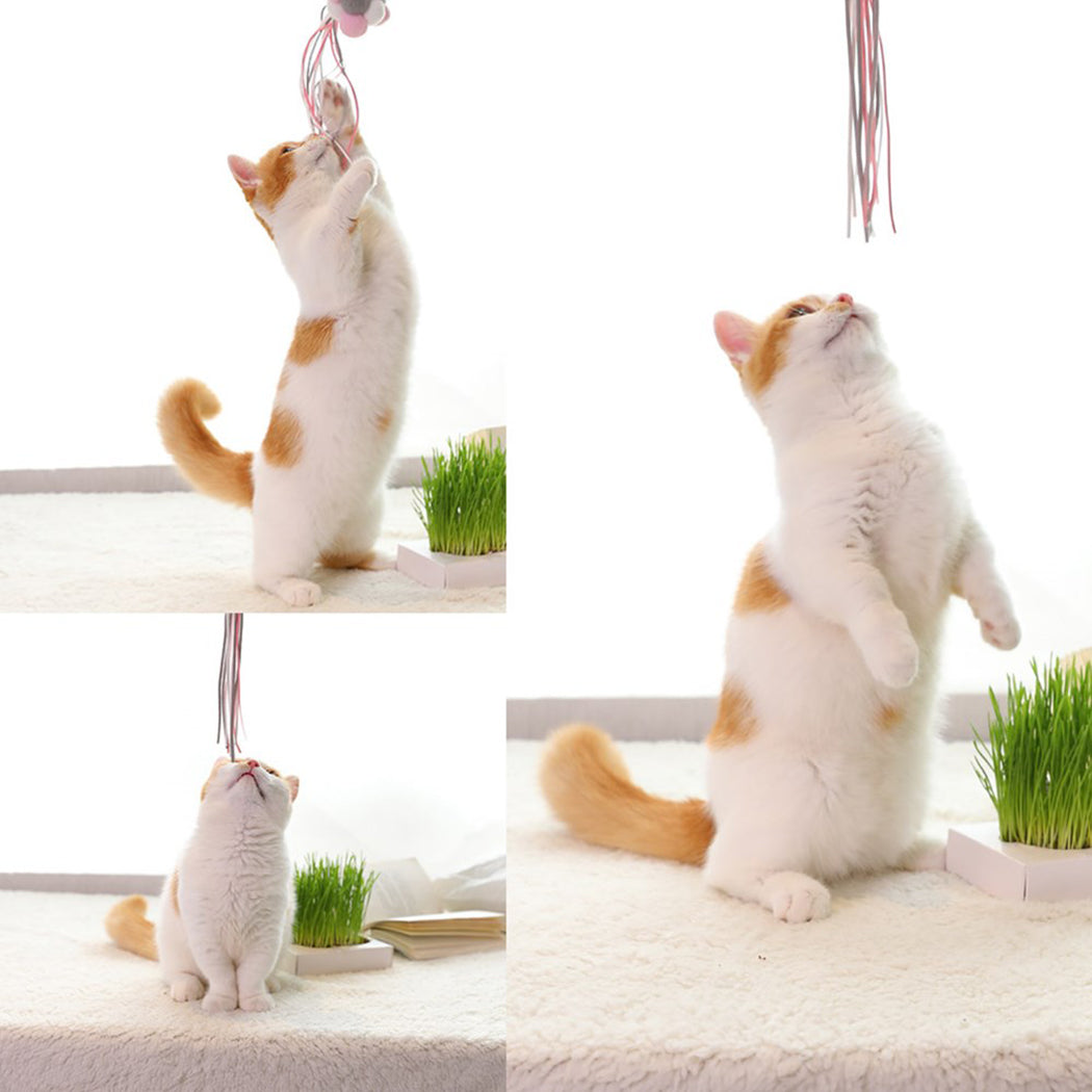 Funny Cat Artifact Handmade Feather Pompom Tassel Funny Cat Pole Pet Cat Toy Fairy Funny Cat Stick Pet Interactive Toy Supplies-ebowsos