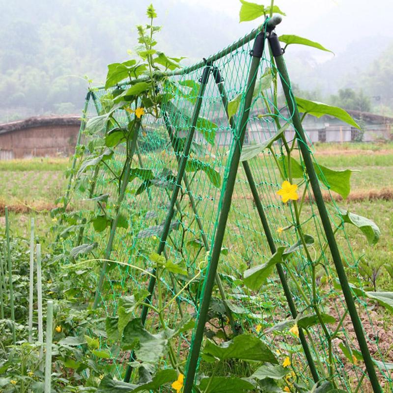 Green Nylon Net for Garden Vegetable Plant Flowers Melon Climbing Grow Fence  Four Corners Fixed Stability Mesh 10x10 Cm - ebowsos