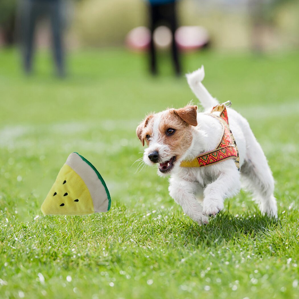 1pc Funny Pet Toys Interactive Cute Watermelon Fruit Shape Dog Squeaky Toy Dog Plush Toy Pet Supplies-ebowsos