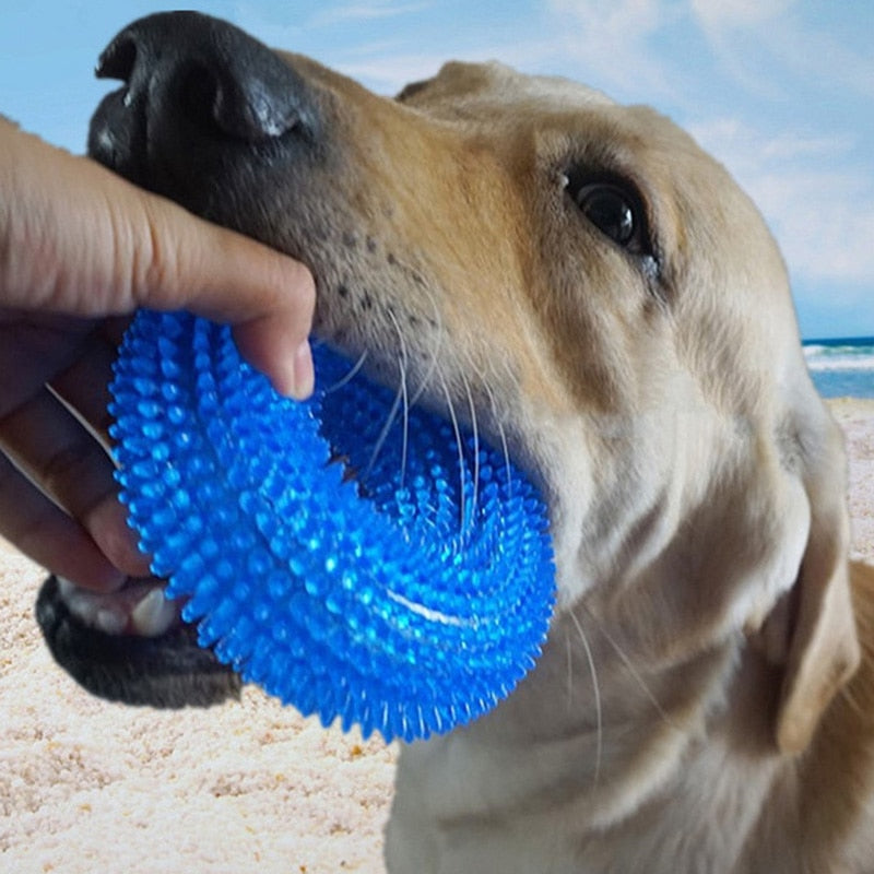 Pet Cleaning Toys Tooth Chew Thorn Ring Dogs Squeak Toys For Golden Retriever Dog Ball Rubber Bite-Resistant Squeaky-ebowsos