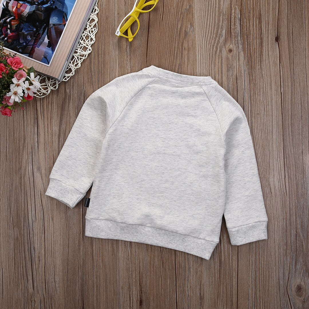 Long Sleeve Boy Girls Toddler Kids Autumn Sweatshirt Hoodies Pullover Tops New - ebowsos