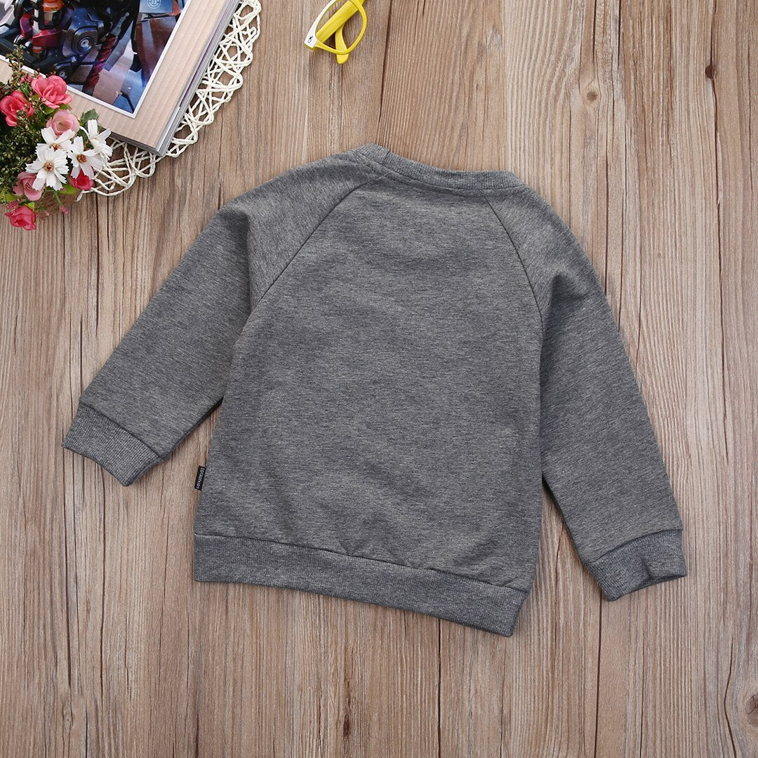 Long Sleeve Boy Girls Toddler Kids Autumn Sweatshirt Hoodies Pullover Tops New - ebowsos