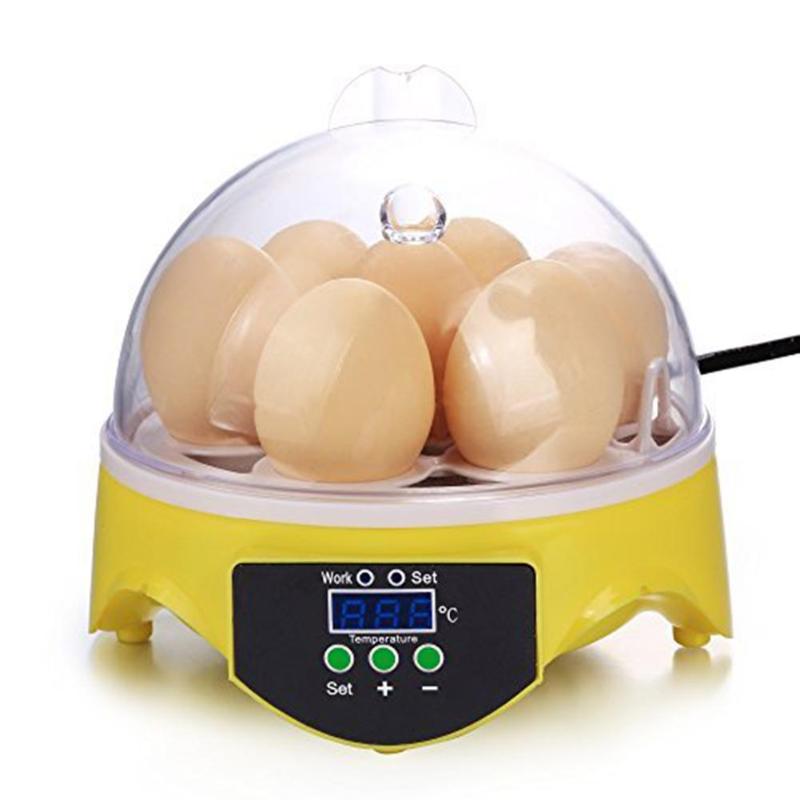 Mini 7 Egg Incubator Poultry Incubator Brooder Digital Temperature Control High Quality Pet Products - ebowsos