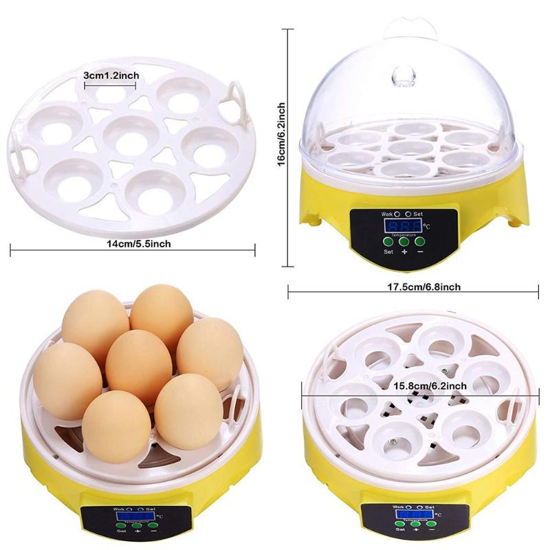 Mini 7 Egg Incubator Poultry Incubator Brooder Digital Temperature Control High Quality Pet Products - ebowsos