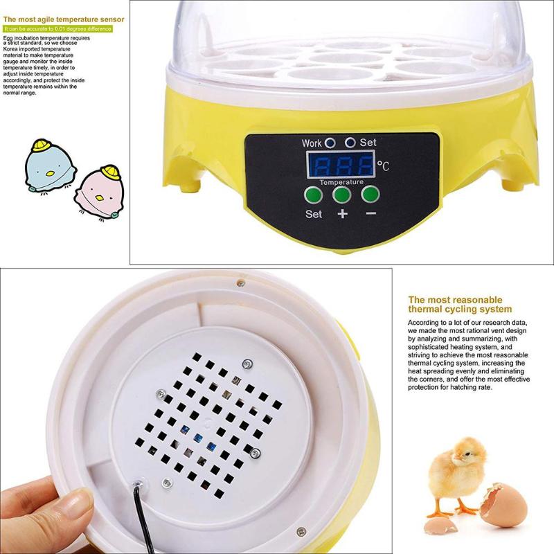 Mini 7 Egg Incubator Poultry Incubator Brooder Digital Temperature Control High Quality Pet Products - ebowsos