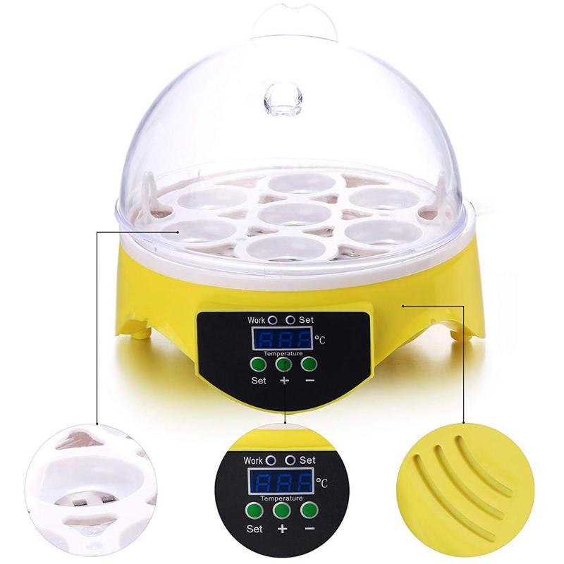 Mini 7 Egg Incubator Poultry Incubator Brooder Digital Temperature Control High Quality Pet Products - ebowsos