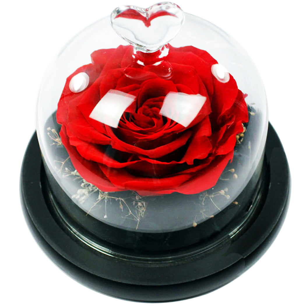 New Romantic Mini Preserved Flowers Everlasting Flower Handmade Unwithered Eternal Rose Mother's Day Gift With Glass Cover-ebowsos