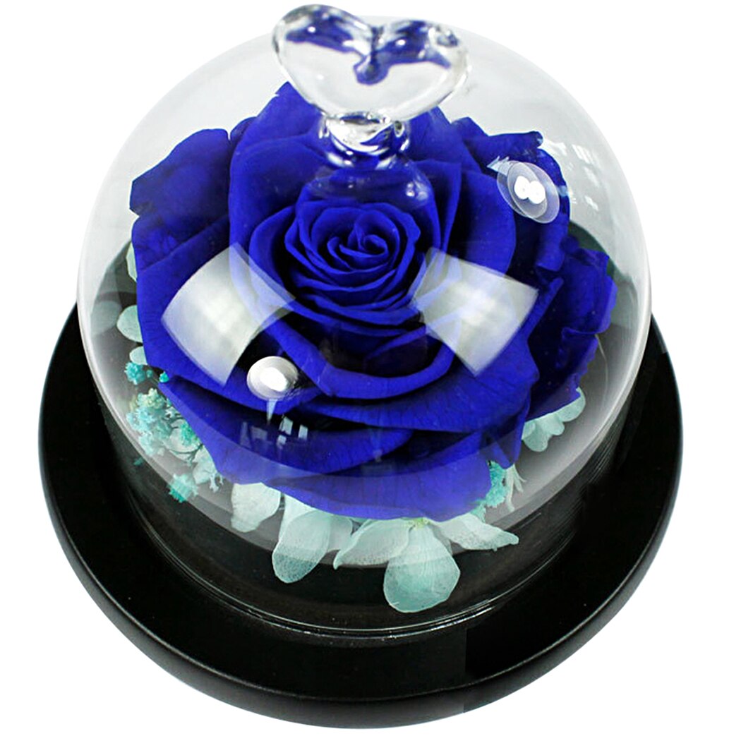 New Romantic Mini Preserved Flowers Everlasting Flower Handmade Unwithered Eternal Rose Mother's Day Gift With Glass Cover-ebowsos