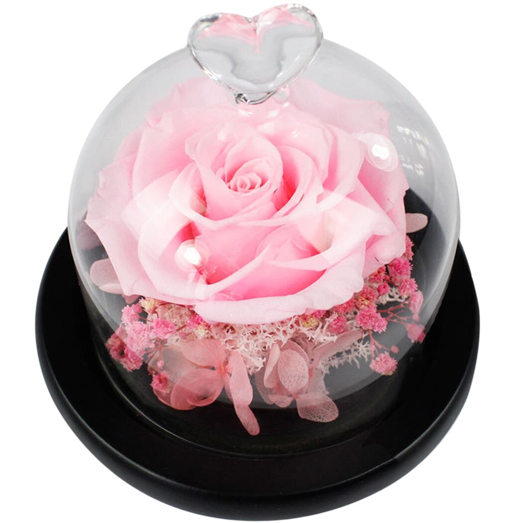 New Romantic Mini Preserved Flowers Everlasting Flower Handmade Unwithered Eternal Rose Mother's Day Gift With Glass Cover-ebowsos