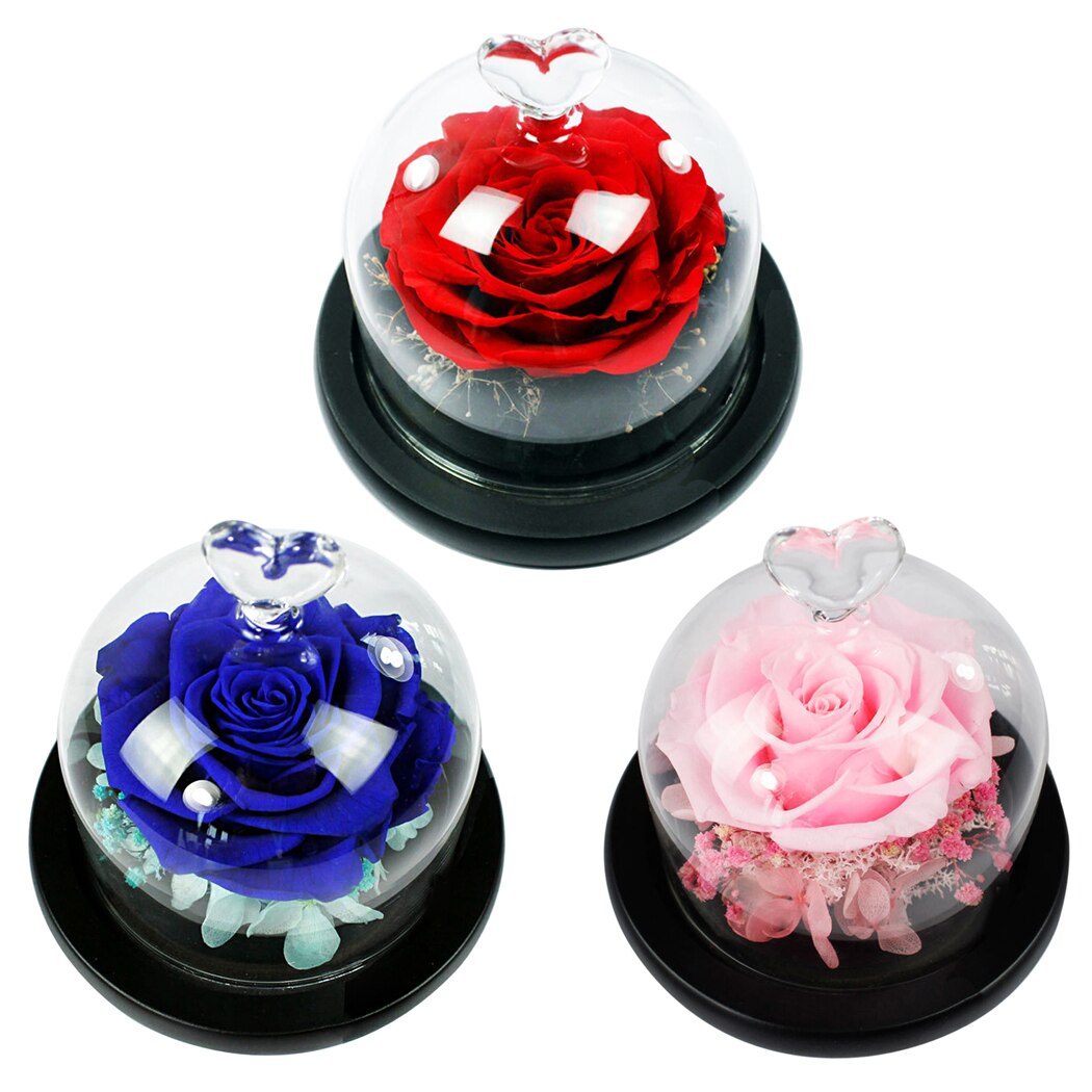 New Romantic Mini Preserved Flowers Everlasting Flower Handmade Unwithered Eternal Rose Mother's Day Gift With Glass Cover-ebowsos