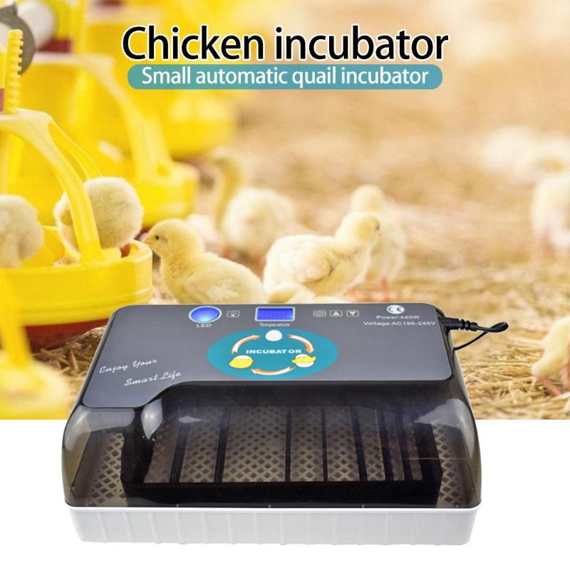 Newest Best Farm Hatchery Machine Automatic Egg Incubator Hatcher Egg Brooder For Chicken Duck Quail Eggs - ebowsos